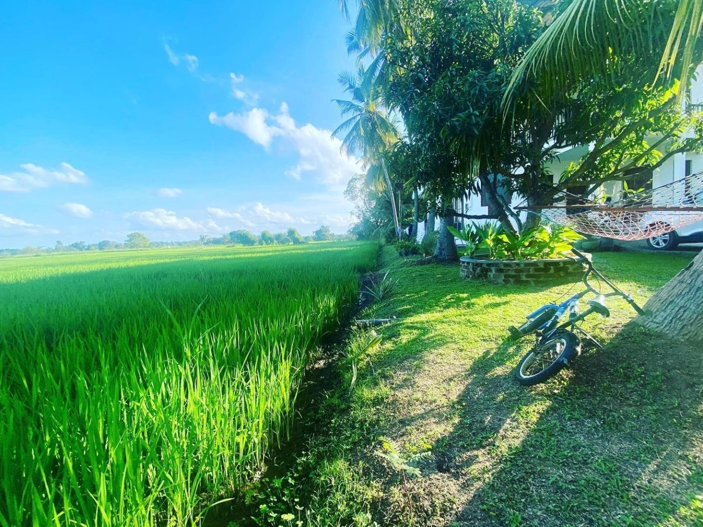 Aroma Villa Homestay Polonnaruwa Exterior foto